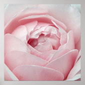 Roze Poster (Voorkant)