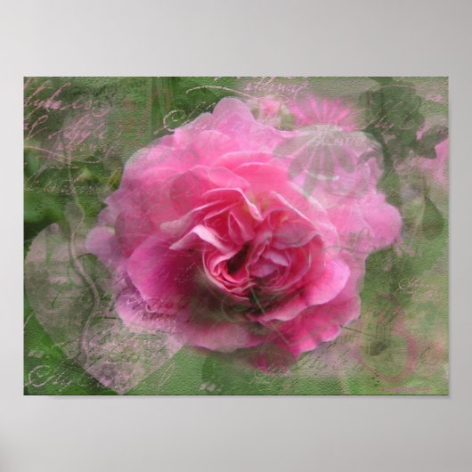 Roze Poster (Voorkant)