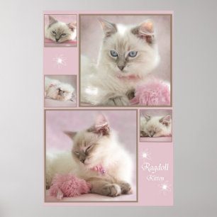 roze poster3 poster