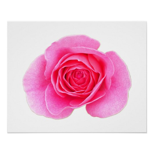 Roze Poster Perfect Poster (Voorkant)
