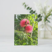 Roze Powder Puff Briefkaart (Staand voorkant)