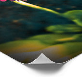 Roze Primula Flowers Poster (Hoek)