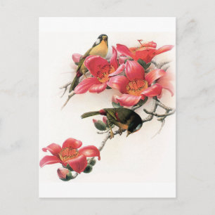 Roze Profusie Briefkaart