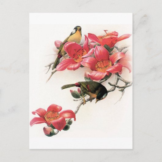 Roze Profusion Briefkaart (Voorkant)