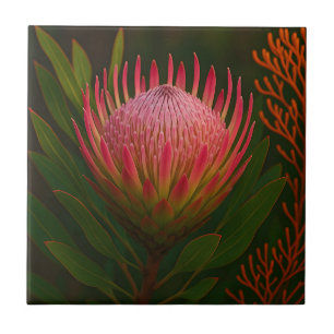Roze Protea Bloem Exotische Bloei Tegeltje