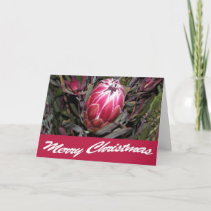 Roze Protea Flower Vrolijke Kerst Kaart