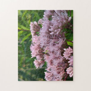 Roze Pye Onkruid Lens Legpuzzel