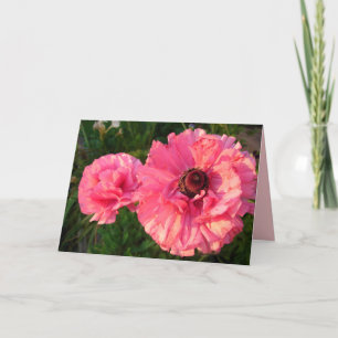 Roze Rannunculus Spring Flower floral Kaart