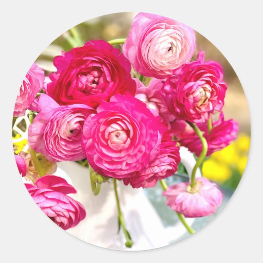 Roze Ranunculus Classic Round Stickers (Voorkant)