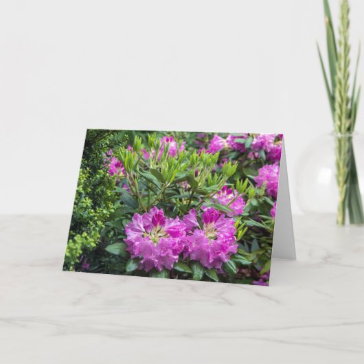 Roze Rhododendron Blank Note Card Kaart (Voorkant)