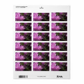 Roze Rhododendron Bloemen Bruiloft Favor Labels (Full Sheet)