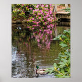 Roze Rhododendron Bloesems Waterreflectie Poster (Voorkant)