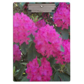 Roze Rhododendron Blooms Floral Klembord (Voorkant)