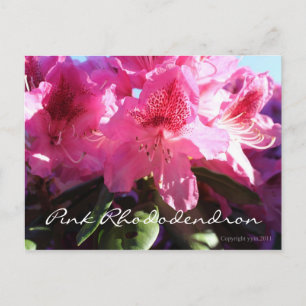 roze rhododendron briefkaart