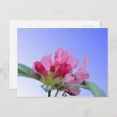 Roze Rhododendron Close Up DIY Briefkaart (Voorkant / Achterkant)