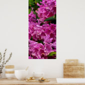 Roze Rhododendron Flowers Poster (Keuken)