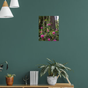 Roze Rhododendron in een bos bloem fotografisch Poster
