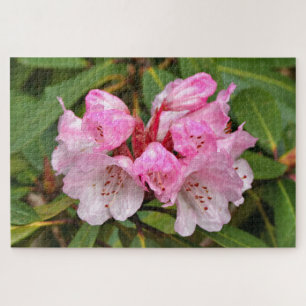 Roze Rododendron, Dandenong Ranges, Australië Legpuzzel