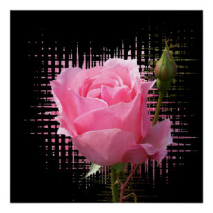 roze roodvlek perfect poster