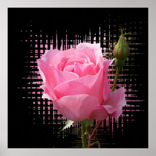 roze roodvlek poster
