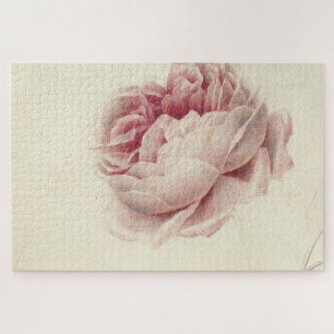 Roze Roos (1792) – Tijdloze botanische kunst Legpuzzel