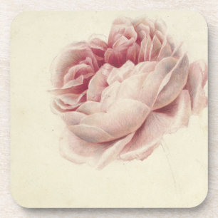 Roze Roos (1792) – Timeless Vintage Botanische Kun Bier Onderzetter