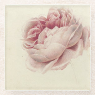 Roze Roos (1792) – Timeless Vintage Botanische Kun Glazen Onderzetter