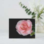 Roze roos aankondiging briefkaart (Staand voorkant)