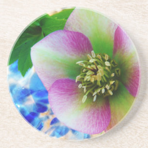 Roze Roos blauwe glazen bol Zandsteen Onderzetter