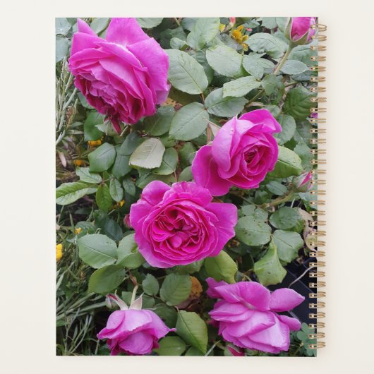Roze  Roos Bloem Birthday Mum Mok N Planner (Achterkant)
