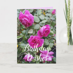Roze Roos Bloem Bloemen Verjaardag Kaart