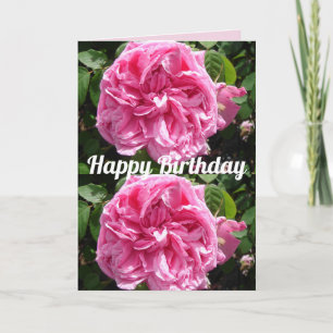 Roze Roos Bloem Bloemige Vintage Rozen Kaart