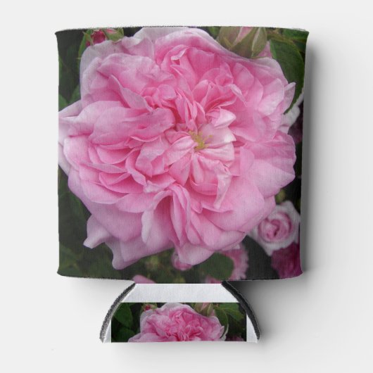 Roze  Roos bloemen Blikjeskoeler (Voorkant)