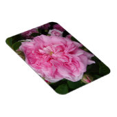 Roze  Roos bloemen Fridge Magnet Magneet (Rechterzijde)