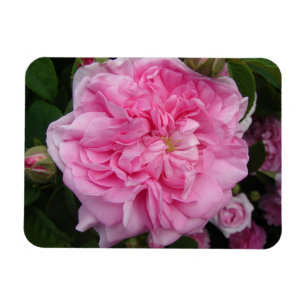 Roze Roos bloemen Fridge Magnet Magneet