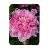 Roze  Roos bloemen Fridge Magnet Magneet (Verticaal)