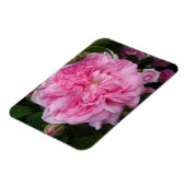 Roze  Roos bloemen Fridge Magnet Magneet (Linkerzijde)