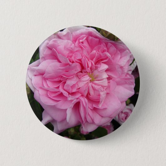 Roze  Roos bloemen Ronde Button 5,7 Cm (Voorkant)