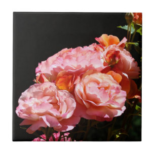 Roze Roos Bloemen Tegel Keramische Kunst Aandenken Tegeltje