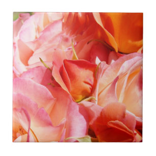 Roze roos bloemen tegel kunst decoratieve rozen tegeltje