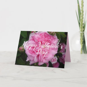 Roze Roos bloemen Valentijnsdag Kaart