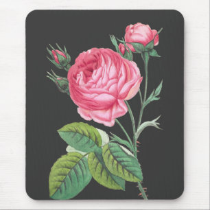 Roze roos bloemend modern muismat