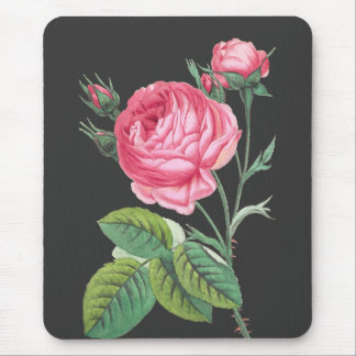 Roze roos bloemend modern muismat