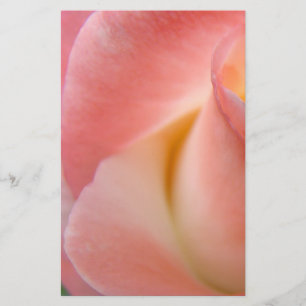 Roze Roos Briefpapier Personaliseer Bloemengeschen