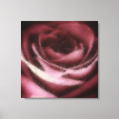 Roze Roos Canvas Afdruk (Voorkant)