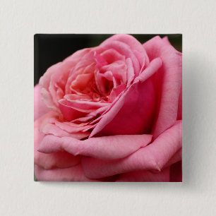 Roze Roos I Mooie Bloemfotografie Vierkante Button 5,1 Cm