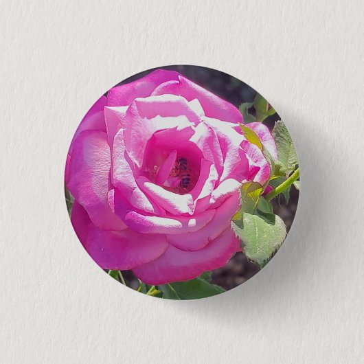 Roze Roos met een Bijen Button (Voorkant)
