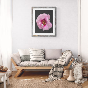 Roze roos met Paarse Hart - olieverfschilderij Foto Afdruk