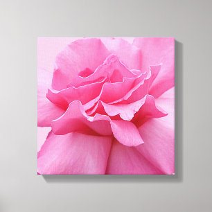 roze roos modern stijlvol abstract bloemen canvas afdruk