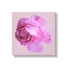 roze roos moderne bloemen eenvoudige kunst